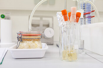 Link zu Life Science Engineering